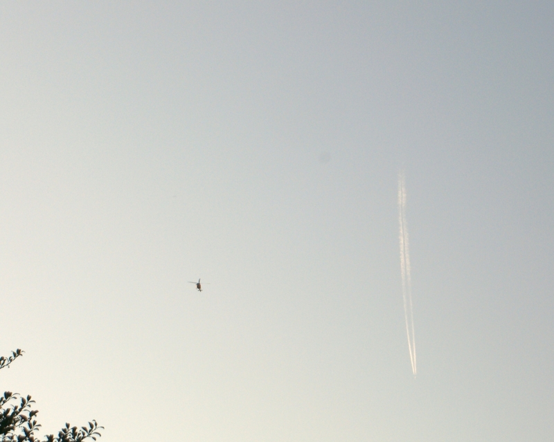 f:id:TeramotoM:20111117154700j:image:w360 f:id:TeramotoM:20111117154700j:image:w360