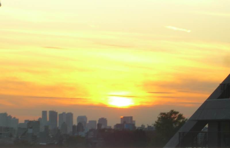 f:id:TeramotoM:20111117162209j:image:w360
