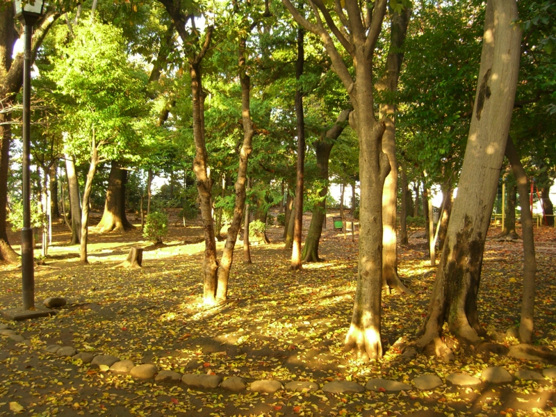 f:id:TeramotoM:20111120144838j:image:w360