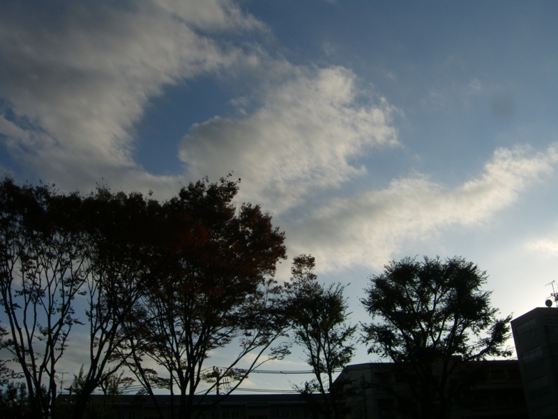 f:id:TeramotoM:20111120152506j:image:w360