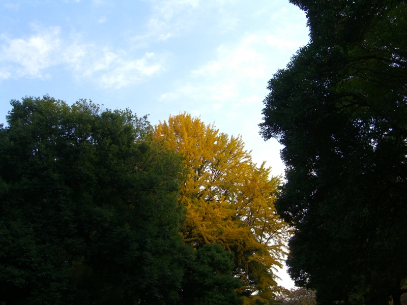 f:id:TeramotoM:20111123144514j:image:w360