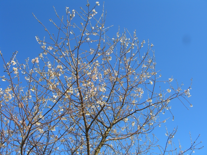 f:id:TeramotoM:20111125124747j:image:w360