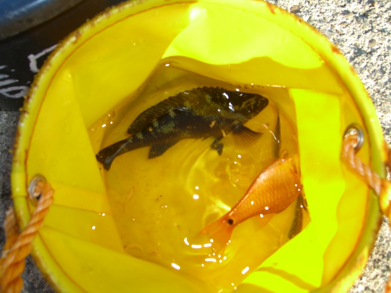 f:id:TeramotoM:20111125142232j:image:w360