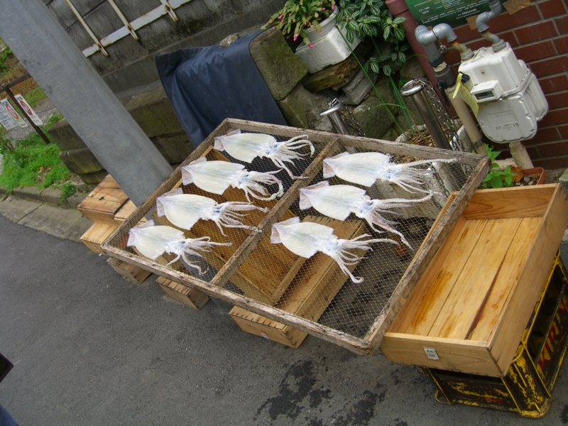 f:id:TeramotoM:20111126093425j:image:w360