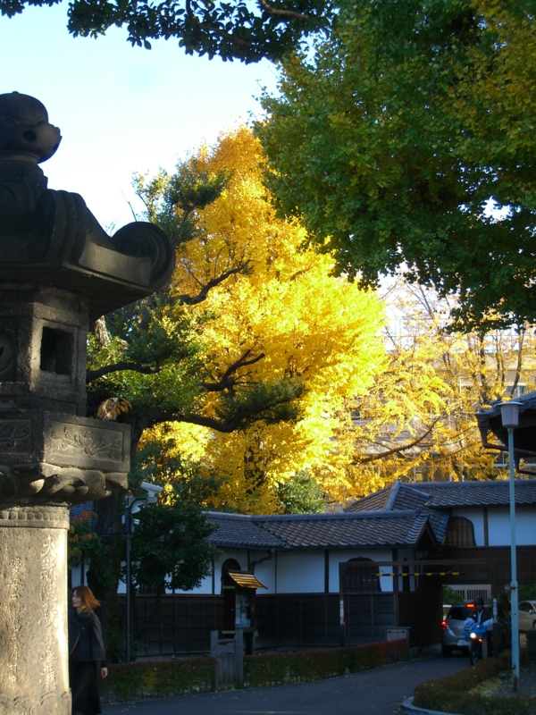 f:id:TeramotoM:20111204142511j:image:w360