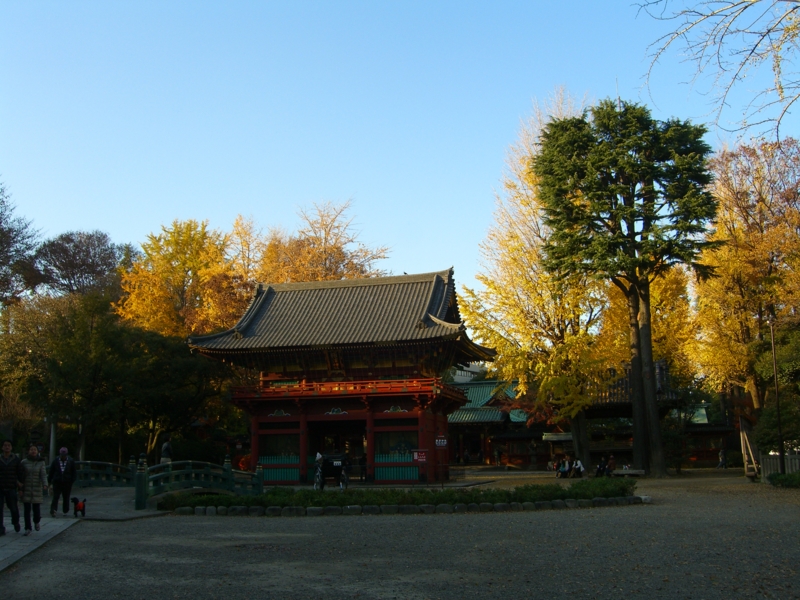 f:id:TeramotoM:20111211145802j:image:w360