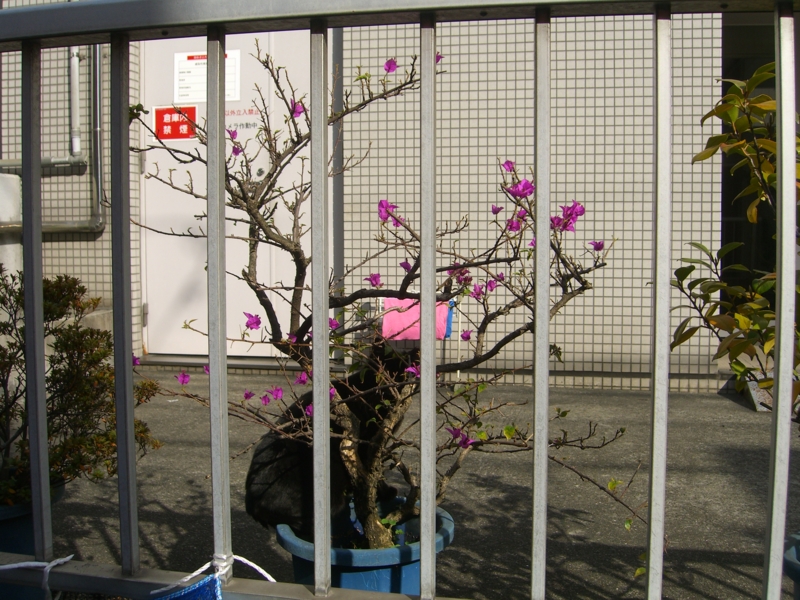 f:id:TeramotoM:20120111105346j:image:w360