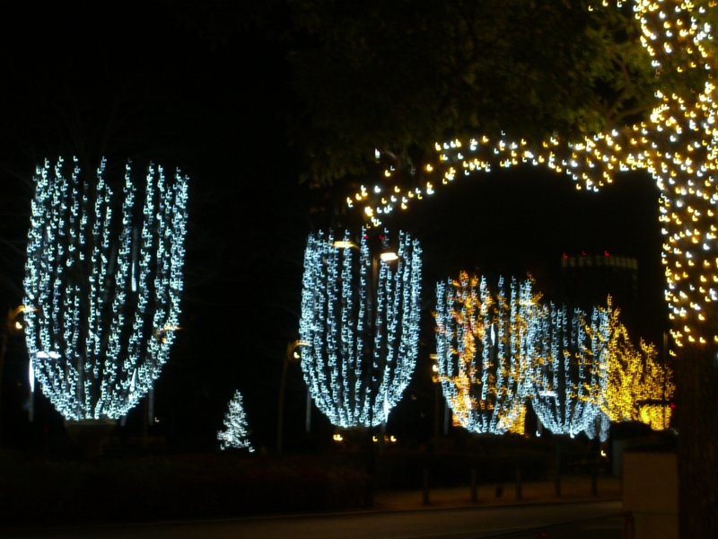 f:id:TeramotoM:20120113181337j:image:w360 f:id:TeramotoM:20120113181337j:image:w360