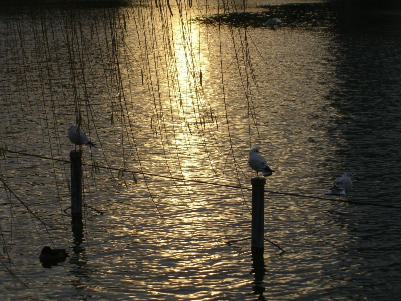 f:id:TeramotoM:20120115160522j:image:w360 f:id:TeramotoM:20120115160522j:image:w360