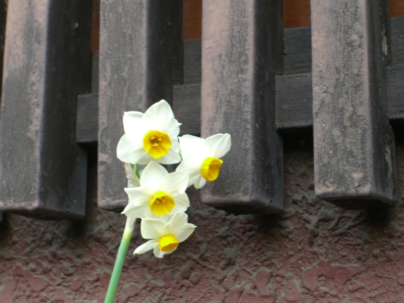 f:id:TeramotoM:20120122152226j:image:w360