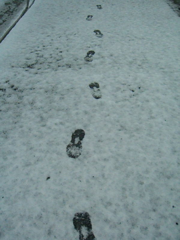 f:id:TeramotoM:20120124064914j:image:w360 f:id:TeramotoM:20120124064914j:image:w360