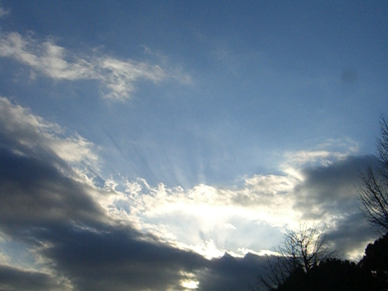 f:id:TeramotoM:20120128154721j:image:w360