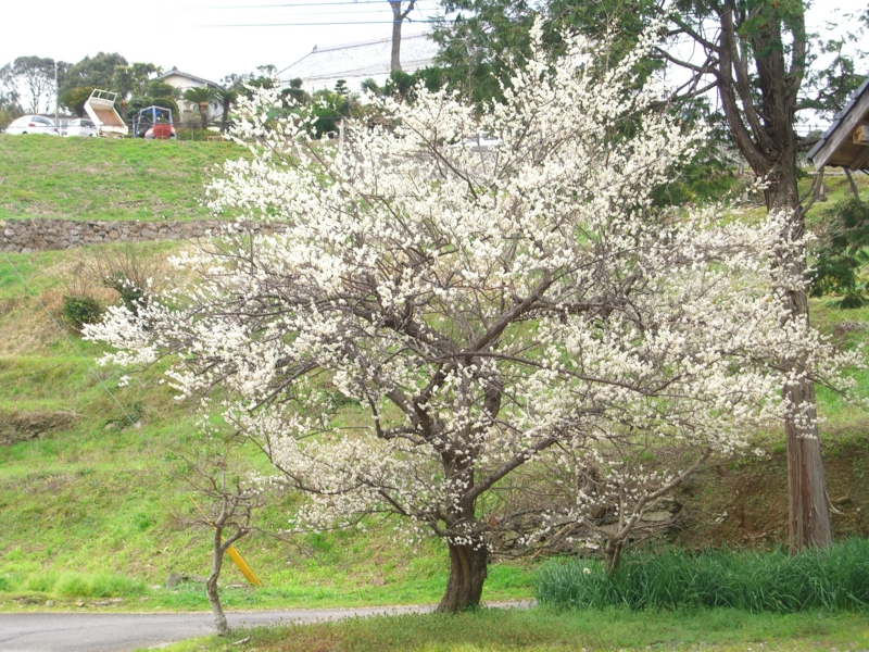 f:id:TeramotoM:20120226124727j:image:w360