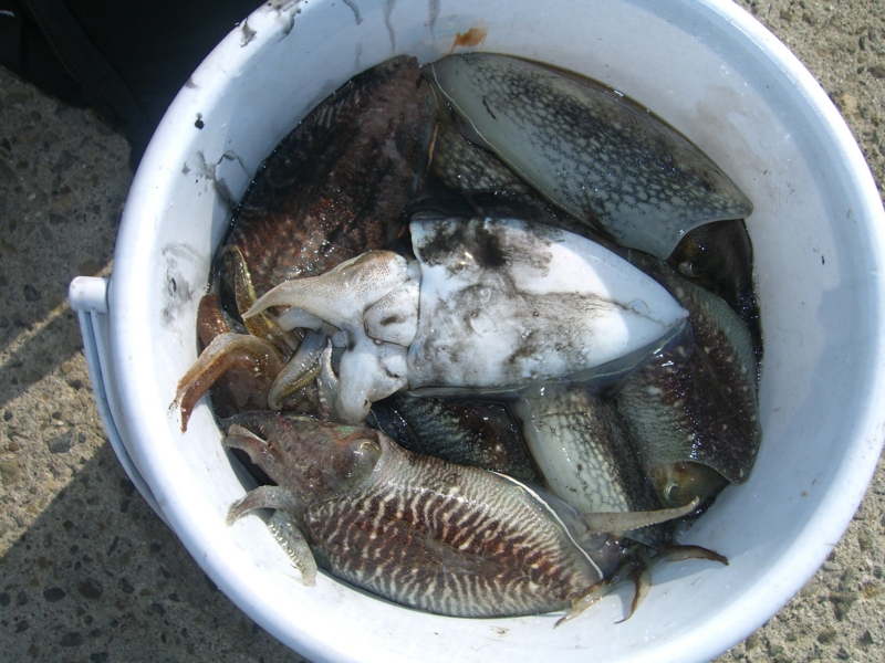 f:id:TeramotoM:20120227094240j:image:w360