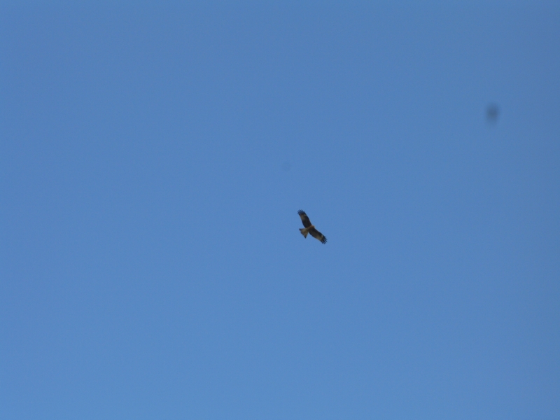 f:id:TeramotoM:20120227153342j:image:w360