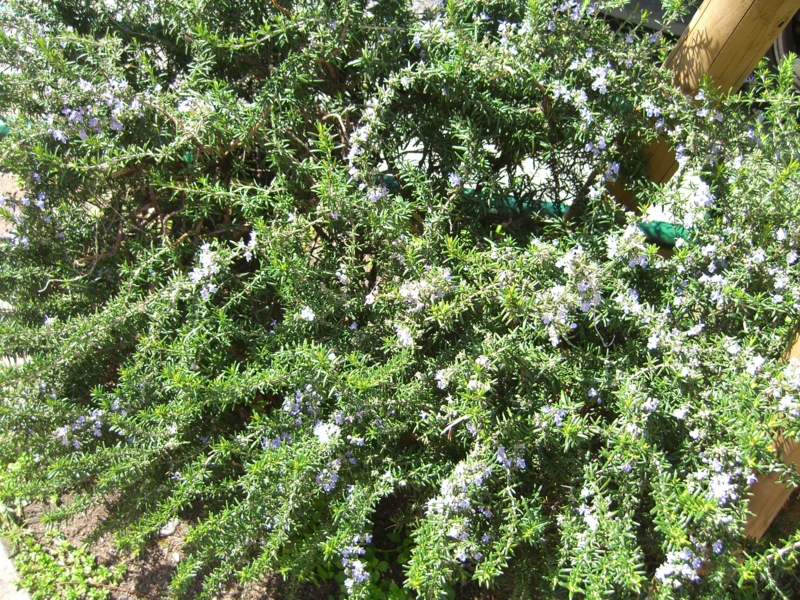 f:id:TeramotoM:20120321103208j:image:w360