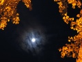 f:id:TeramotoM:20120328131807j:image:w360
