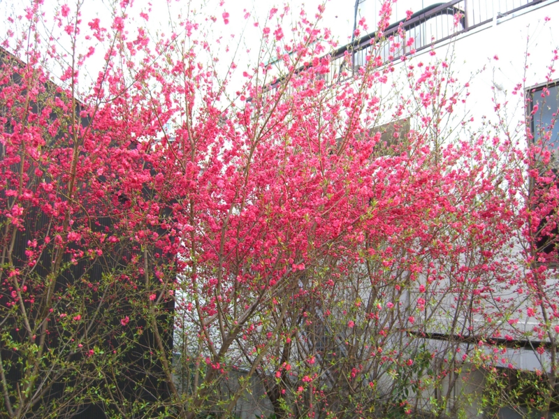 f:id:TeramotoM:20120401163819j:image:w360