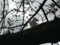 f:id:TeramotoM:20120403101424j:image:medium