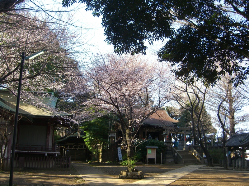 f:id:TeramotoM:20120404155409j:image:w360