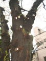 f:id:TeramotoM:20120406062717j:image:medium