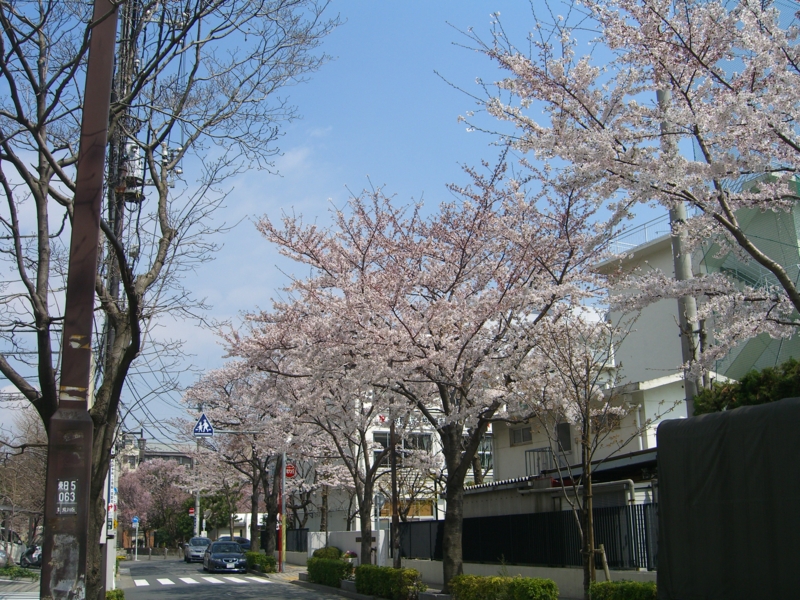 f:id:TeramotoM:20120406104030j:image:w360
