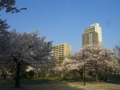 f:id:TeramotoM:20120410064134j:image:medium