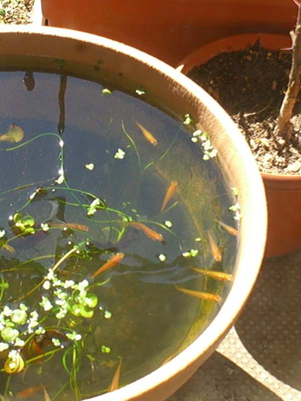 f:id:TeramotoM:20120412085454j:image:w360