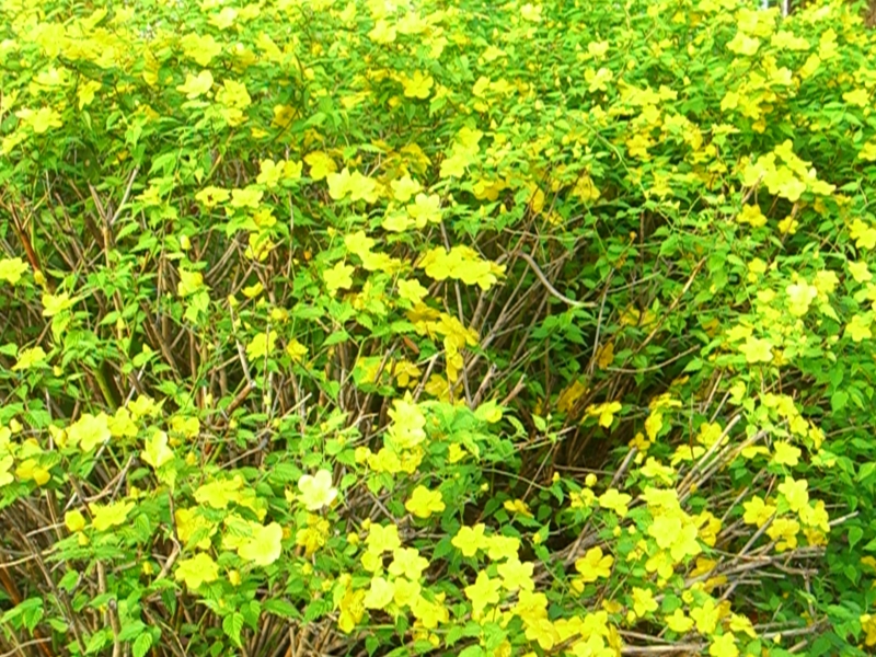 f:id:TeramotoM:20120413062745j:image:w360 f:id:TeramotoM:20120413062745j:image:w360