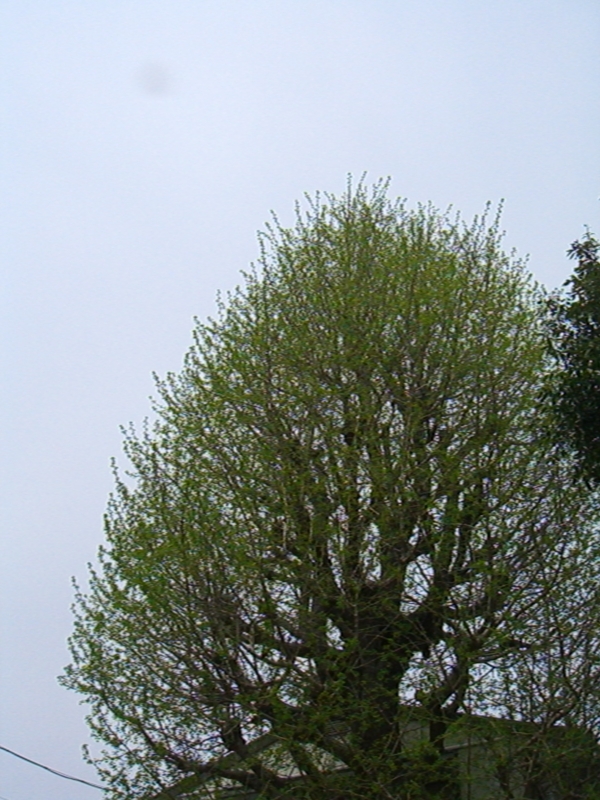f:id:TeramotoM:20120413122144j:image:w360 f:id:TeramotoM:20120413122144j:image:w360