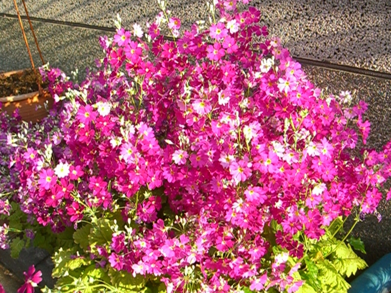 f:id:TeramotoM:20120415064105j:image:w360