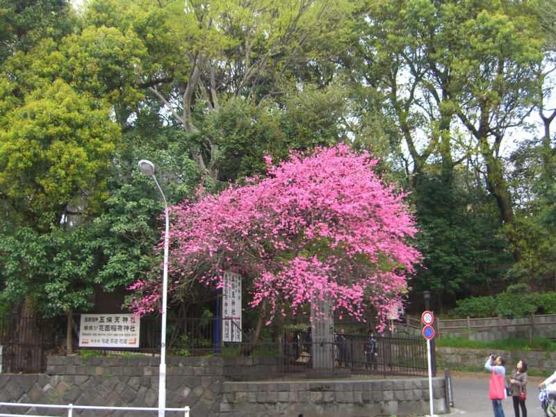 f:id:TeramotoM:20120415152236j:image:w360