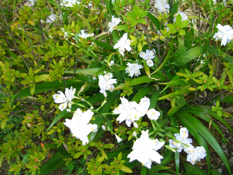 f:id:TeramotoM:20120421125459j:image:w360