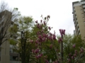 f:id:TeramotoM:20120421150909j:image:medium