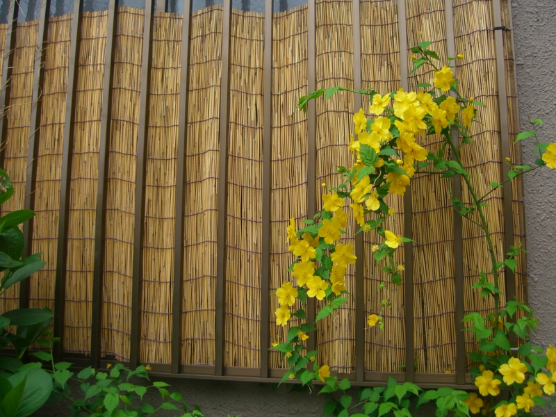 f:id:TeramotoM:20120422063602j:image:w360