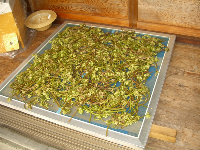 f:id:TeramotoM:20120430122745j:image:w360 f:id:TeramotoM:20120430122745j:image:w360