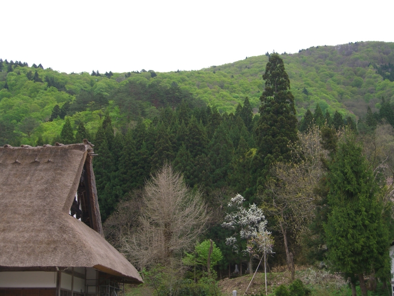 f:id:TeramotoM:20120502114216j:image:w360