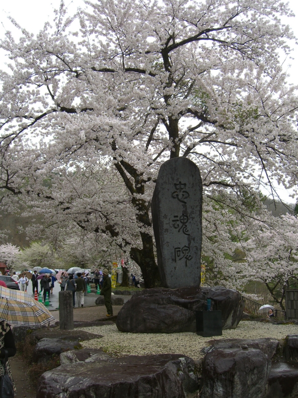 f:id:TeramotoM:20120502131904j:image:w360