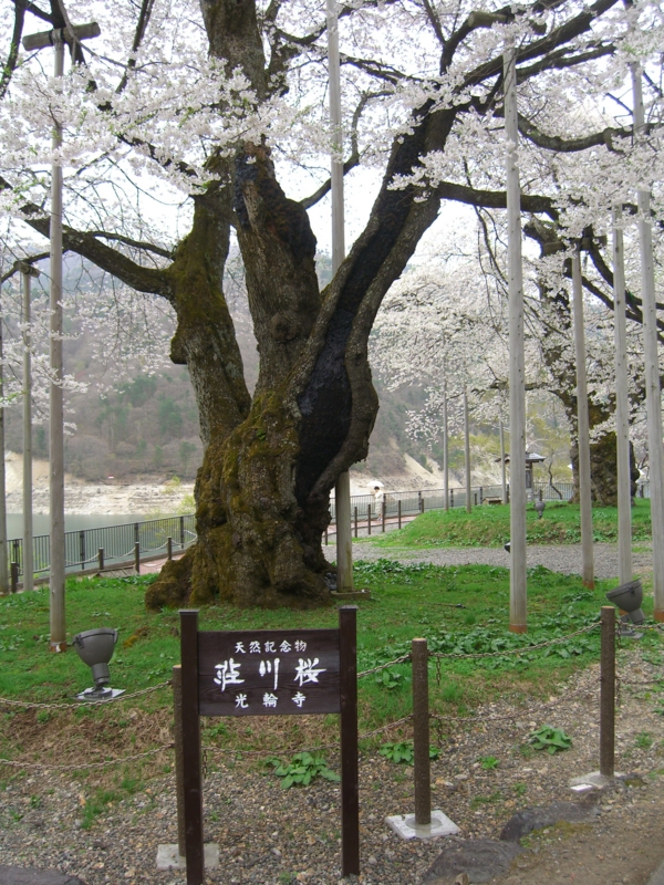 f:id:TeramotoM:20120502131918j:image:w360