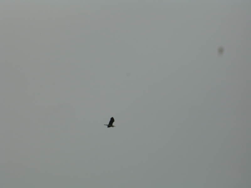 f:id:TeramotoM:20120503075327j:image:w360