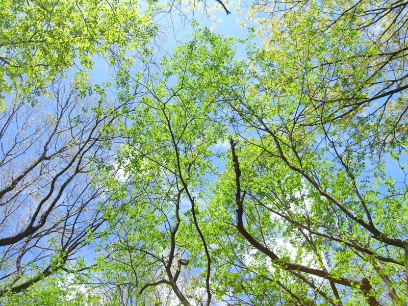 f:id:TeramotoM:20120503123822j:image:w360