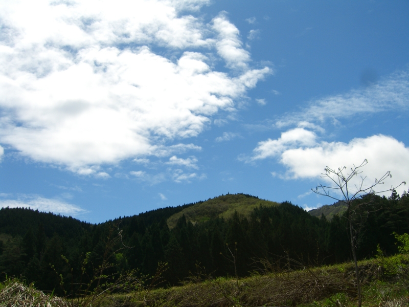 f:id:TeramotoM:20120503125505j:image:w360