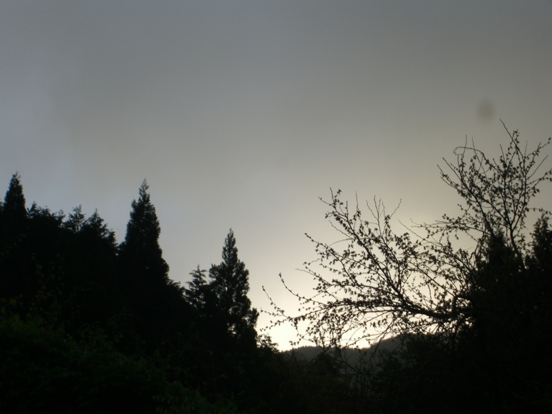f:id:TeramotoM:20120504055204j:image:w360