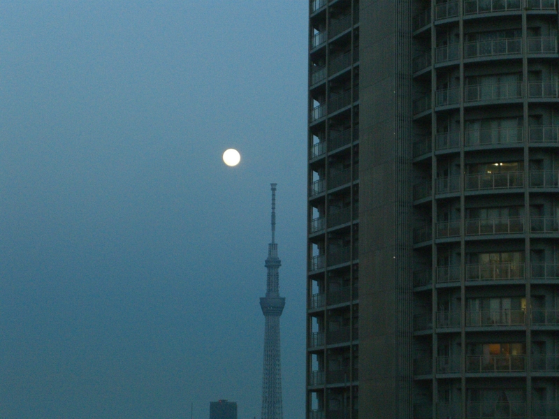 f:id:TeramotoM:20120505183635j:image:w360