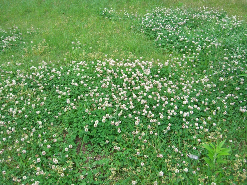 f:id:TeramotoM:20120512153603j:image:w360