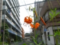 f:id:TeramotoM:20120624150031j:image:medium