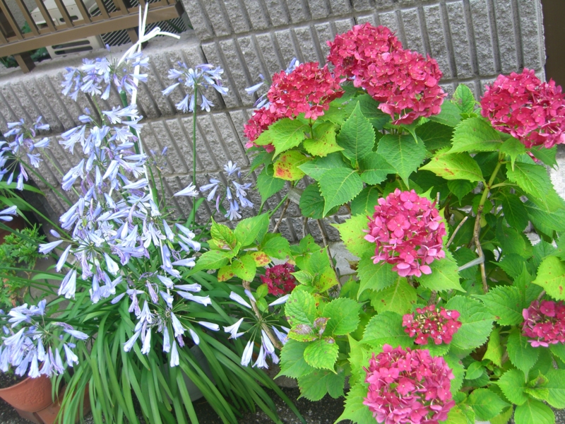f:id:TeramotoM:20120702150538j:image:w360
