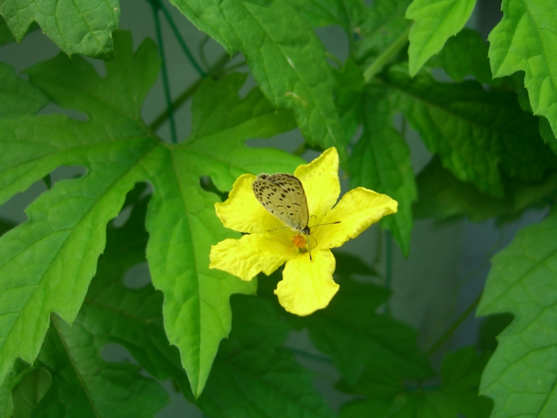 f:id:TeramotoM:20120702152413j:image:w360
