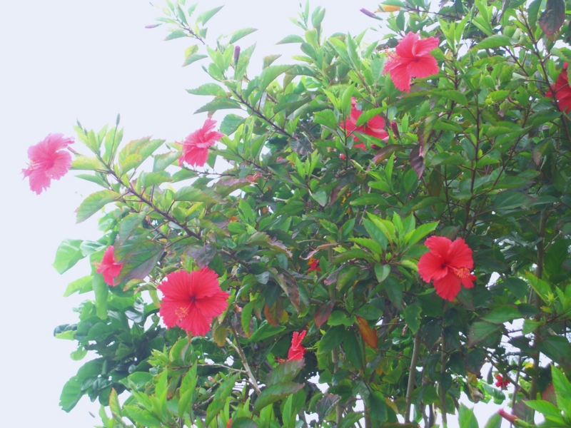 f:id:TeramotoM:20120708165831j:image:w360