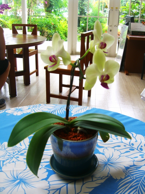 f:id:TeramotoM:20120709090636j:image:w360